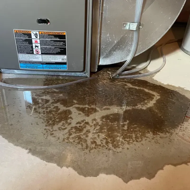 Appliance Leak Cleanup in Thorsby, AL